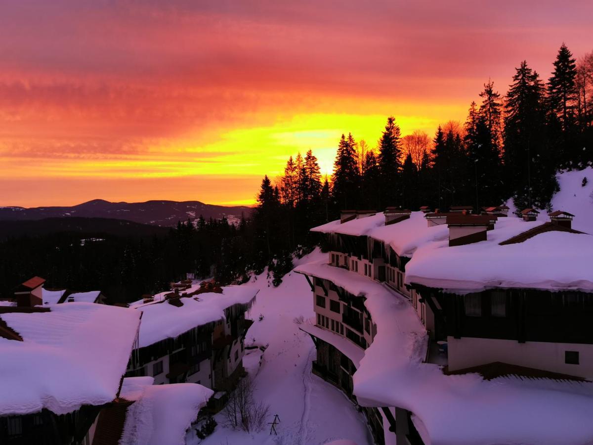 Viva 4-A-16 Ski To The Door Grand Monastery Pamporovo Exterior photo